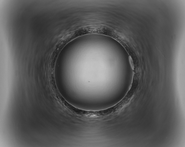 X0000087550913200704271205