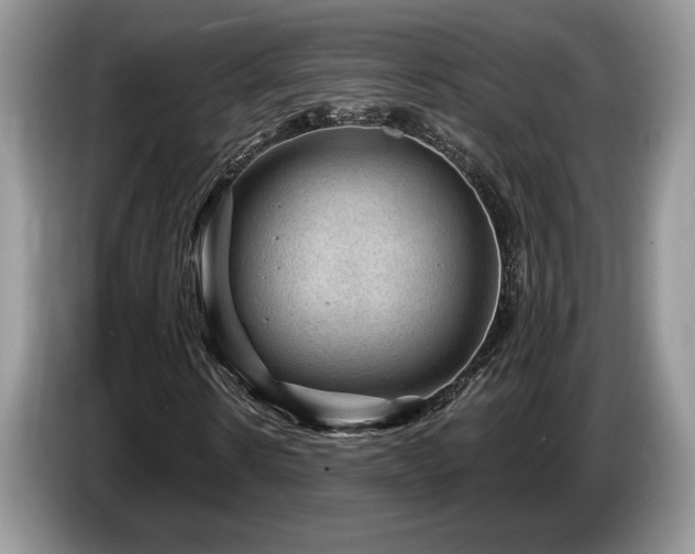 X0000087550914200704271205