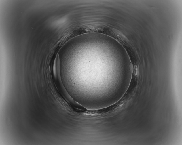 X0000087550915200704271205