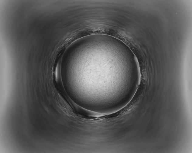 X0000087550916200704271205