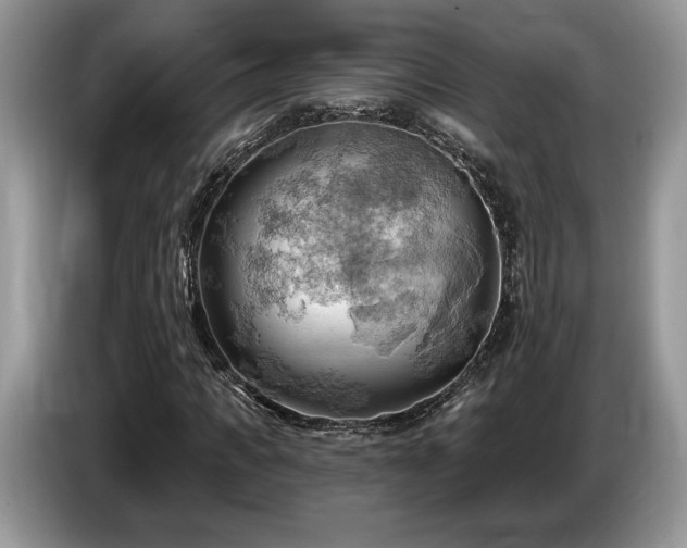 X0000087550917200704271205