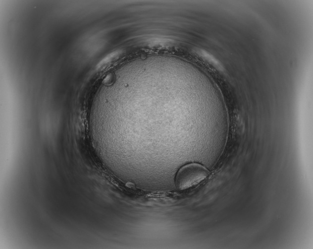 X0000087550918200704271205