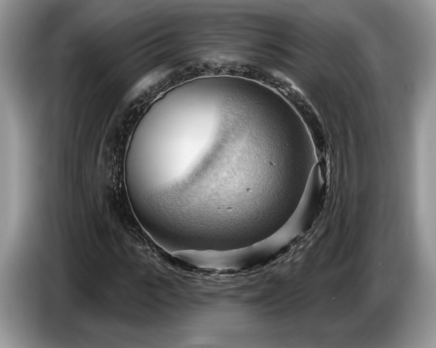X0000087550919200704271205