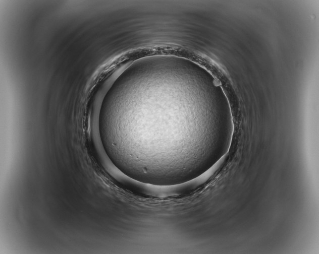 X0000087550920200704271205