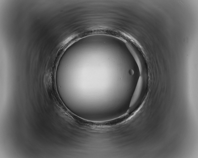 X0000087550921200704271205