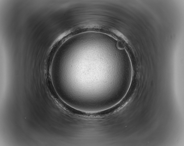 X0000087550922200704271205
