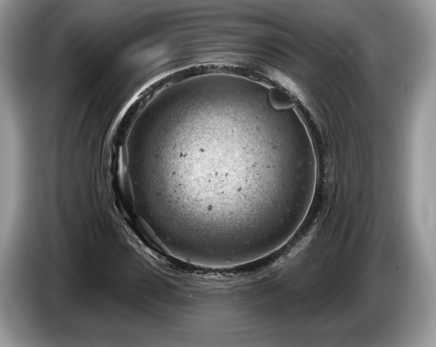 X0000087550923200704271205