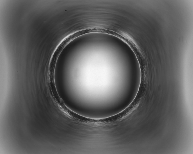X0000087550924200704271205