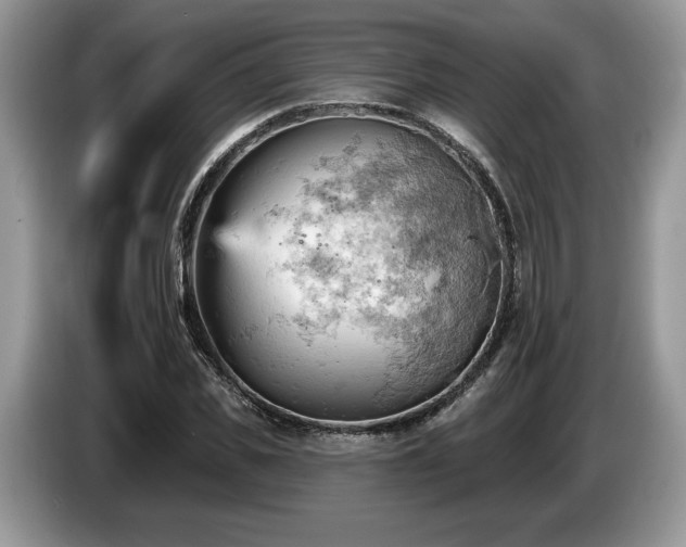 X0000087550925200704271206