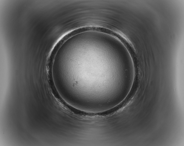 X0000087550926200704271206