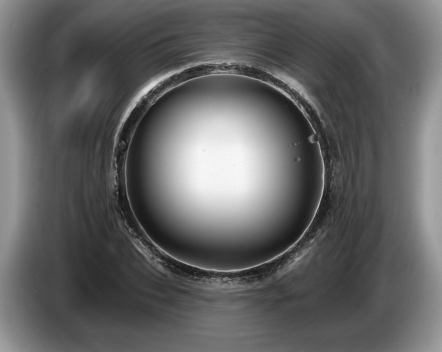 X0000087550927200704271206