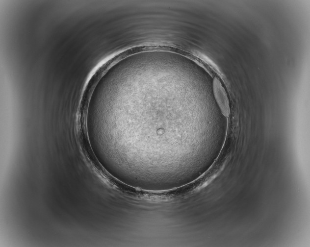 X0000087550928200704271206