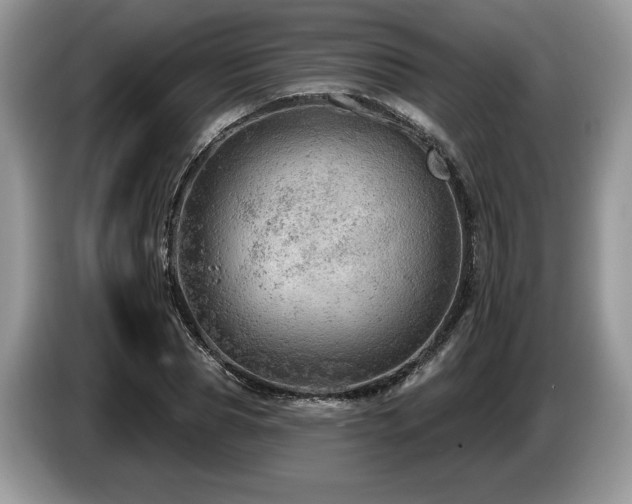 X0000087550929200704271206