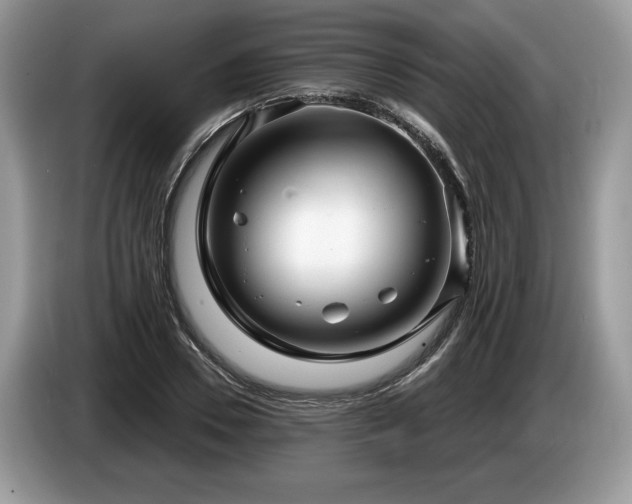 X0000087550930200704271206