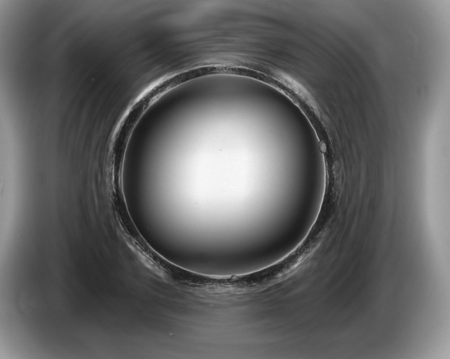 X0000087550931200704271206