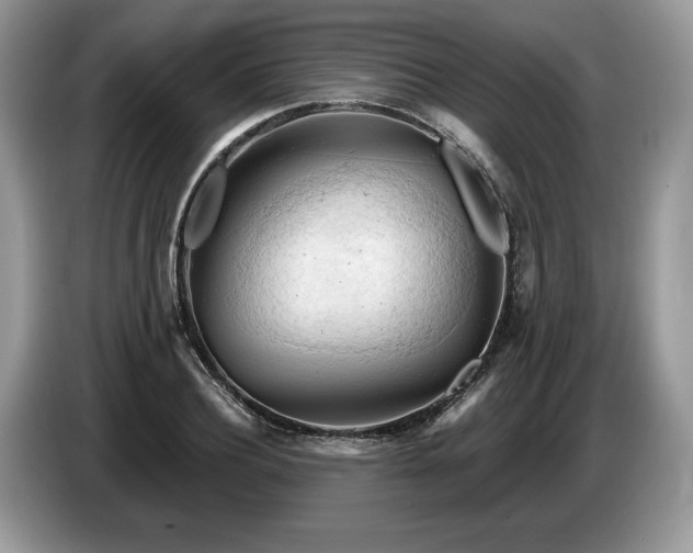 X0000087550932200704271206