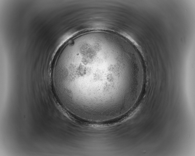 X0000087550933200704271206