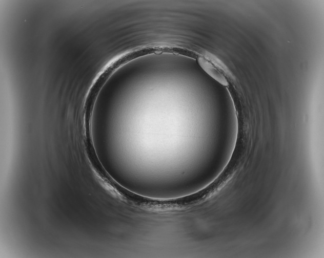 X0000087550934200704271206