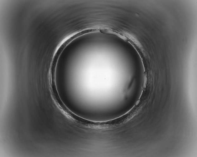 X0000087550936200704271206