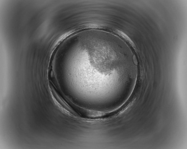 X0000087550938200704271206