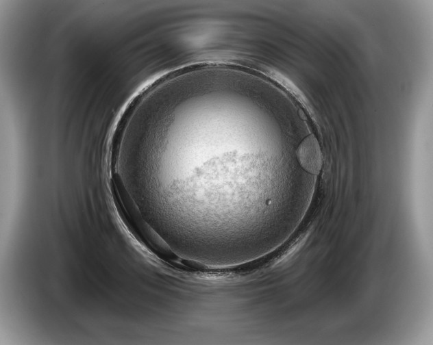 X0000087550939200704271206