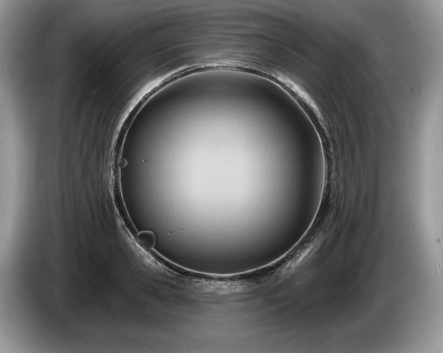 X0000087550941200704271206