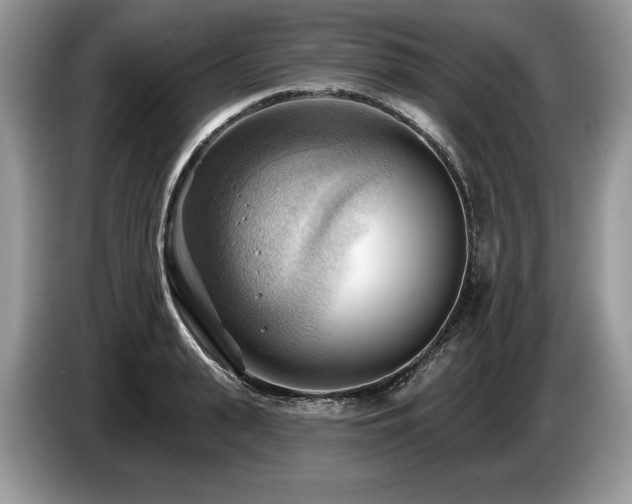 X0000087550943200704271206