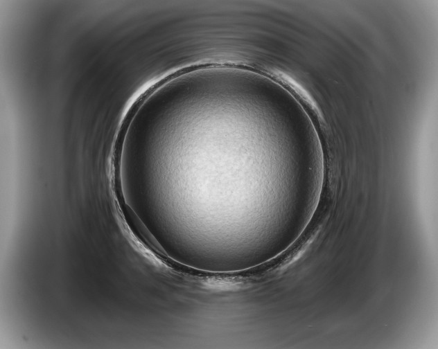 X0000087550944200704271206