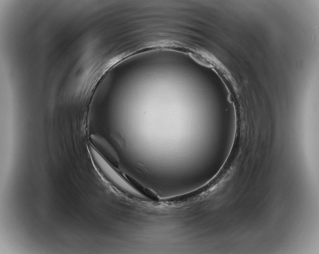 X0000087550945200704271206