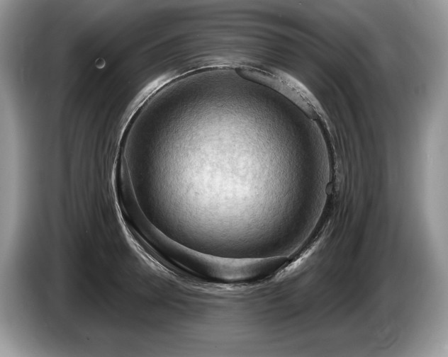 X0000087550946200704271206