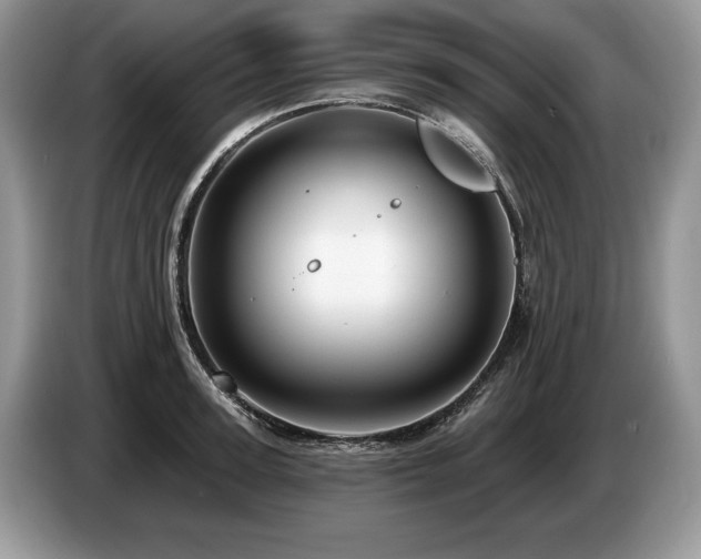 X0000087550947200704271206