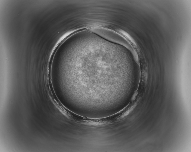 X0000087550948200704271206