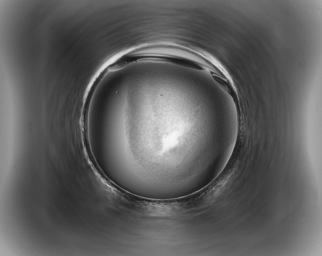 X0000087550951200704271206