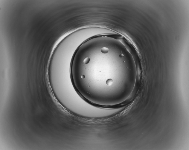 X0000087550952200704271206