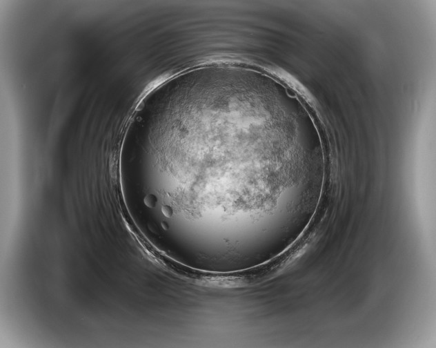 X0000087550953200704271206