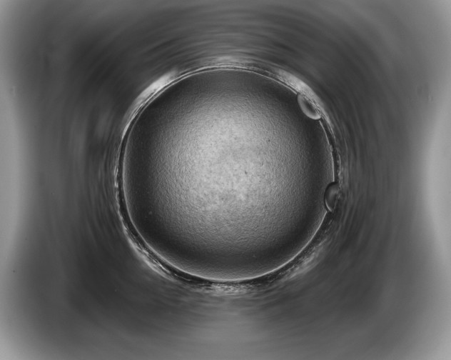 X0000087550954200704271206