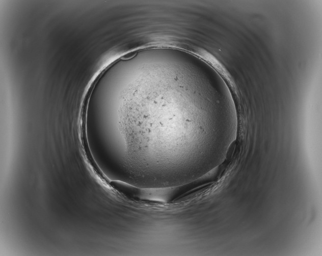 X0000087550955200704271206