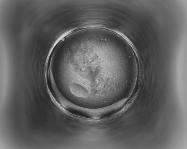 X0000087550957200704271206