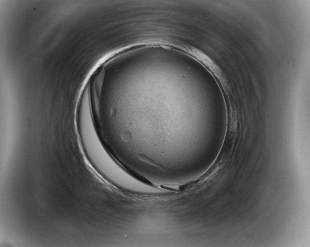 X0000087550958200704271206