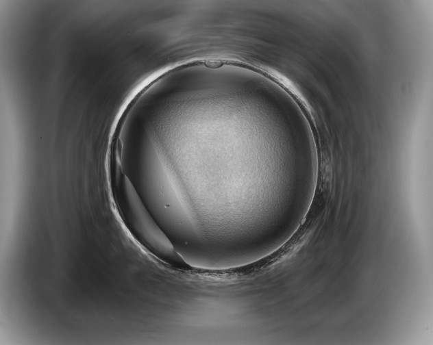 X0000087550959200704271206