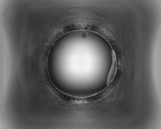 X0000087550961200704271205
