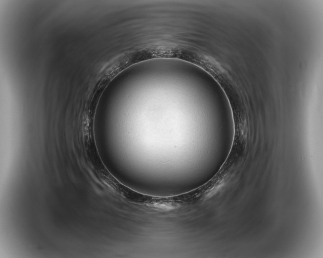 X0000087550964200704271205