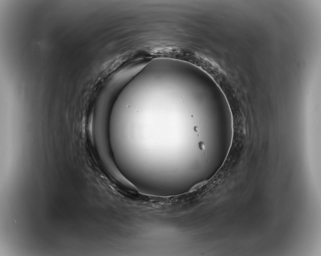 X0000087550965200704271205