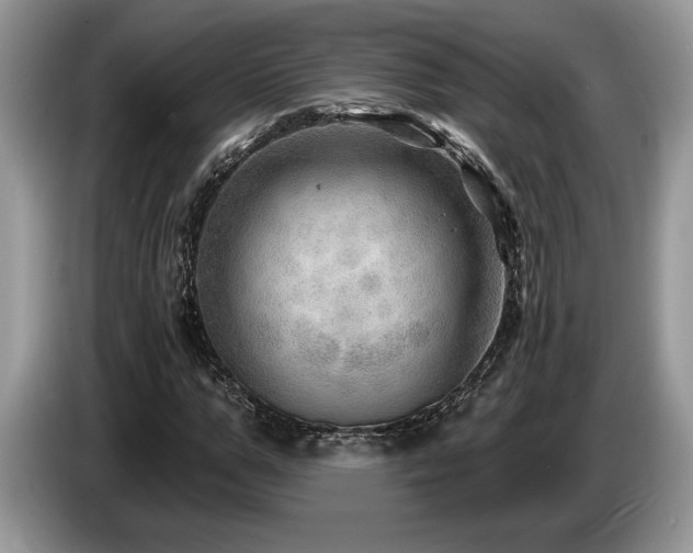 X0000087550967200704271205