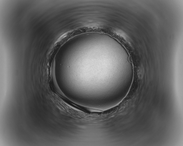 X0000087550968200704271205