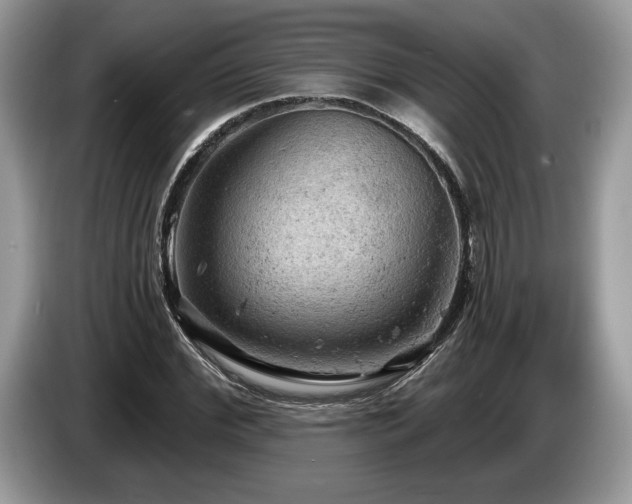 X0000087550972200704271205