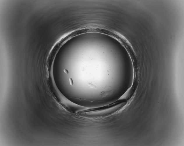 X0000087550973200704271205