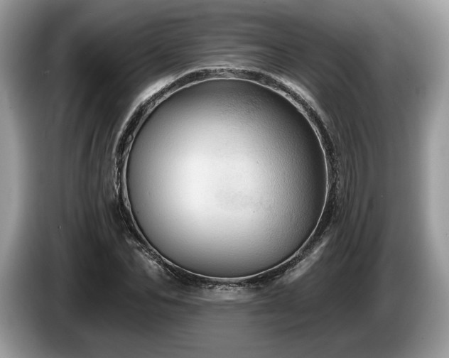 X0000087550974200704271205
