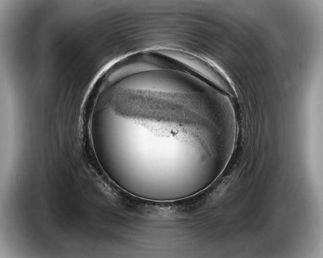 X0000087550975200704271205