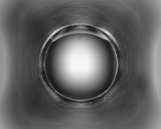 X0000087550976200704271205